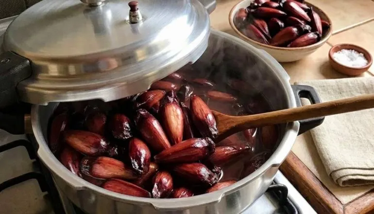 Imagem mostra como fazer pinhão na panela de pressão.