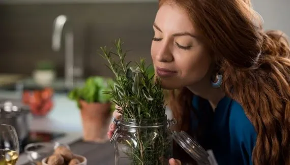 Alecrim: 5 motivos para ter em casa a planta que ajuda a limpar as energias