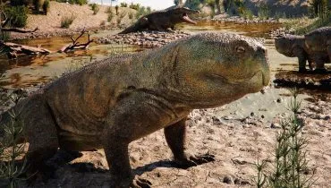 Rincossauro da espécie Isodapedon varzealis teria vivido 230 milhões de anos