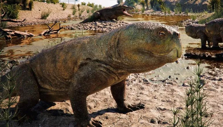 Fóssil de 230 milhões de anos: Conheça a nova espécie de réptil descoberta no RS