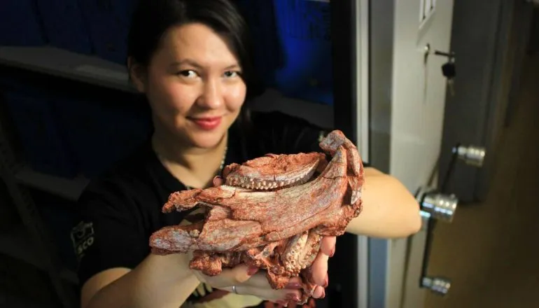 Imagem mostra Jeung Hee Schiefelbein segurando o fóssil de rincossauro.