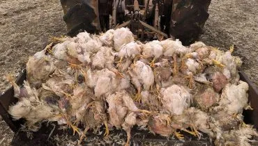 FAEP critica reajuste da Copel e pede ressarcimento de prejuízos