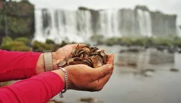 383 kg de moedas lançadas por visitantes são retiradas das Cataratas do Iguaçu