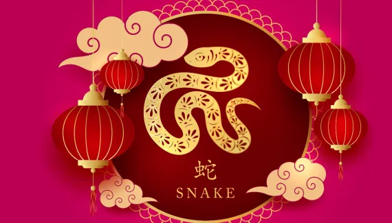 Signo da Serpente: descubra as principais características no Horóscopo Chinês