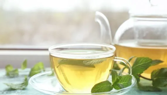 Chá de melissa: veja 8 benefícios para a saúde