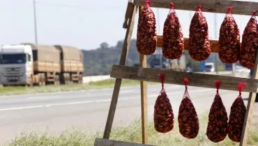 Vai comprar pinhão na estrada? Veja quais cuidados tomar