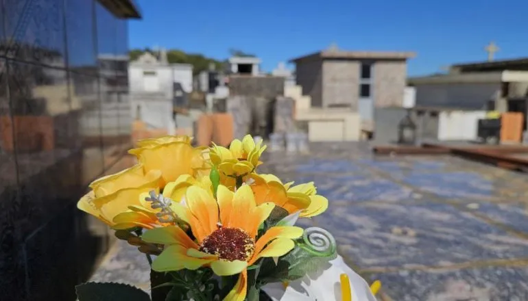 Falecimentos em Curitiba; Obituário desta segunda-feira, 20/04/2026