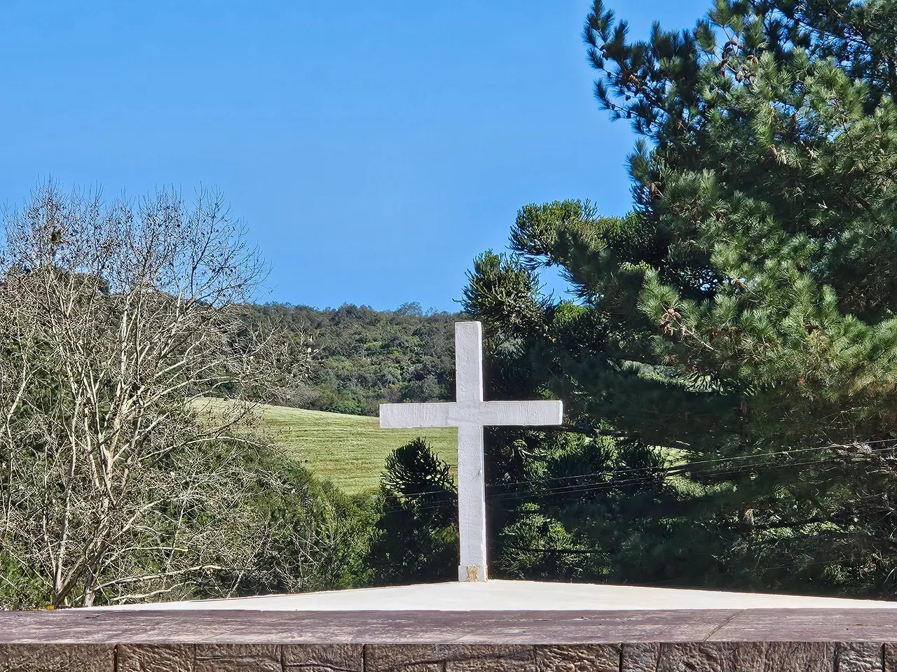 Falecimentos em Curitiba; Obituário desta terça-feira, 21/04/2026