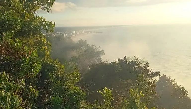 Incêndio no Morro do Boi completa 24h; focos estão em área de difícil acesso
