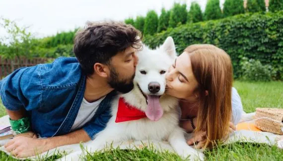 Guarda compartilhada de pets: dinâmica exige atenção com a alimentação do animal