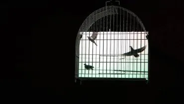 A imagem não serve, primeira mostra individual do artista multimídia Eder Santos na capital paranaense
