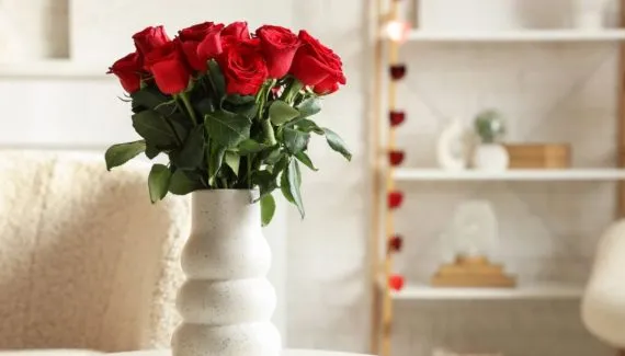 5 plantas para atrair mais amor para a sua vida