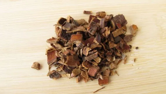 Cáscara-sagrada: para que serve, benefícios e como fazer o chá da planta