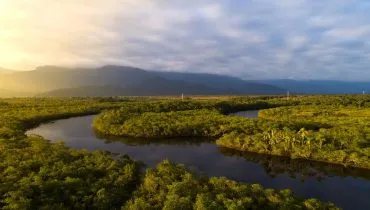 Como o Brasil reduziu em 42% a perda de florestas em 2025?