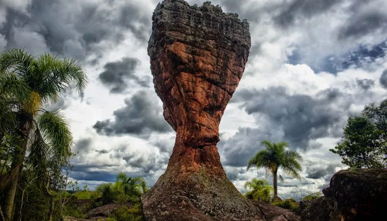 Primeiro parque estadual do Paraná vira Patrimônio Histórico e Cultural