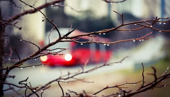 Curitiba terá quinta-feira nublada; veja qual será a temperatura máxima