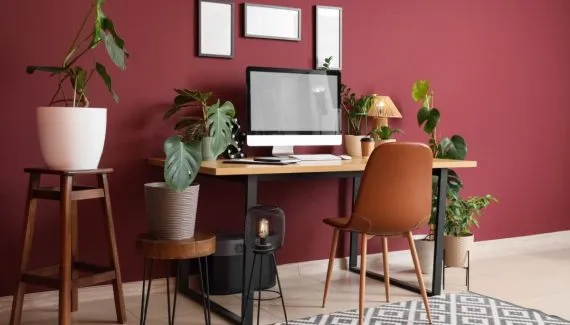 Seu ambiente de trabalho está alinhado ao Feng Shui para gerar resultados?