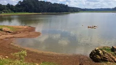 Paraná em situação de Emergência Hídrica: decreto proíbe desperdício e autoriza rodízio