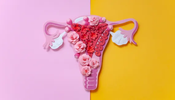 O Diabo Veste Prada 2 traz à tona debate sobre congelamento de óvulos e fertilidade feminina