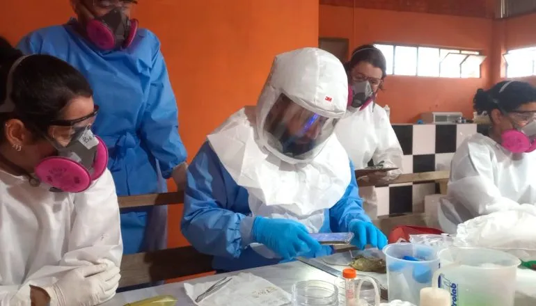 Paraná confirma dois casos de hantavirose; 11 são investigados