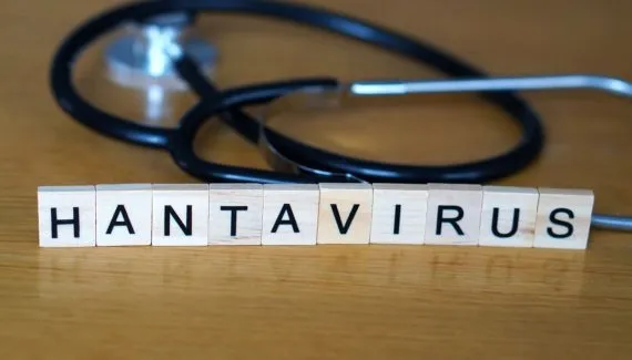 Hantavírus: infecção pode provocar impactos além do sistema respiratório