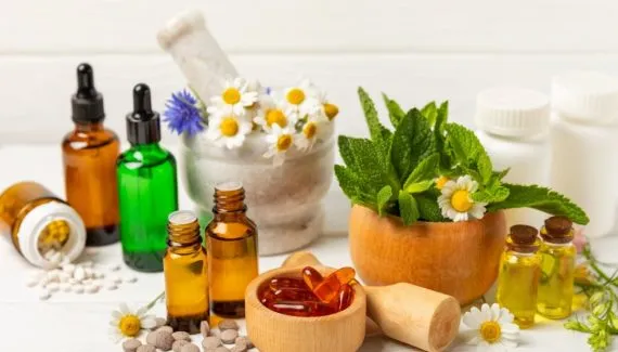 Plantas medicinais e fitoterápicos: veja os benefícios para a saúde