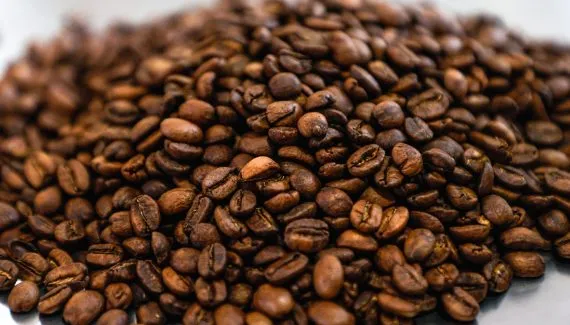 Paraná mira em cafés especiais para recuperar relevância após Geada Negra
