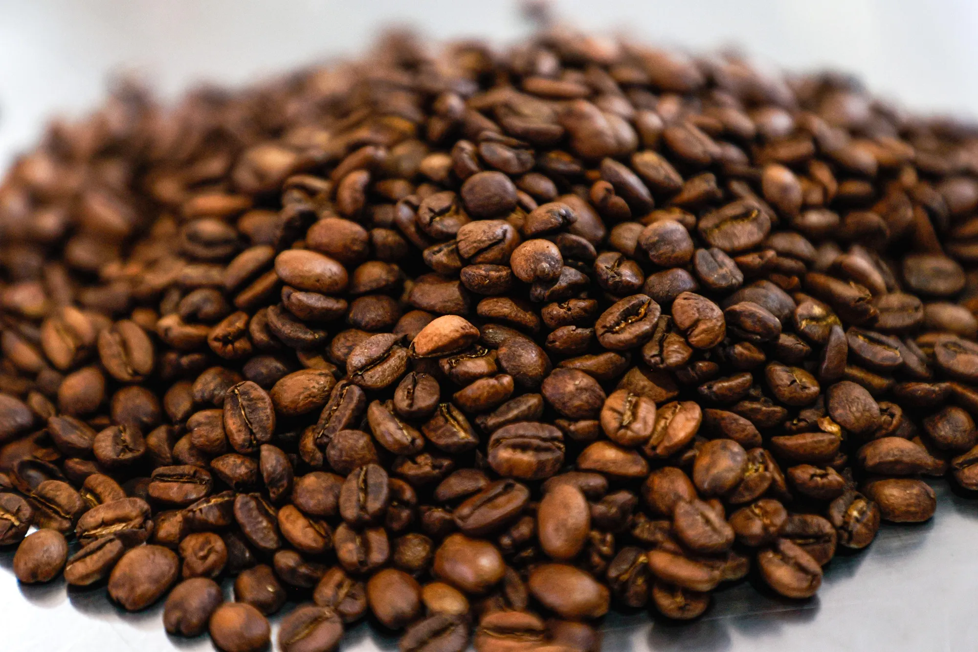 Paraná aposta em qualidade para resgatar cafeicultura devastada pela Geada Negra de 1975