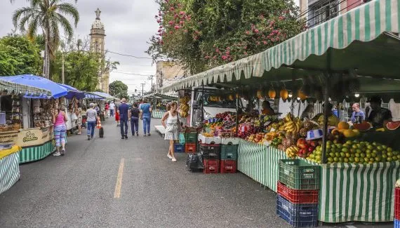 Curitiba oferece feiras livres e de artesanato neste domingo