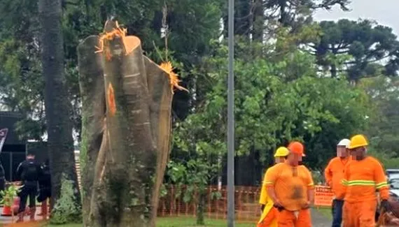 Corte de árvores em obra gigante de Curitiba gera novos protestos