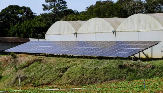 O teto de vidro do Paraná: o que vai acontecer quando as mais de 4.280 megawatt em placas solares 