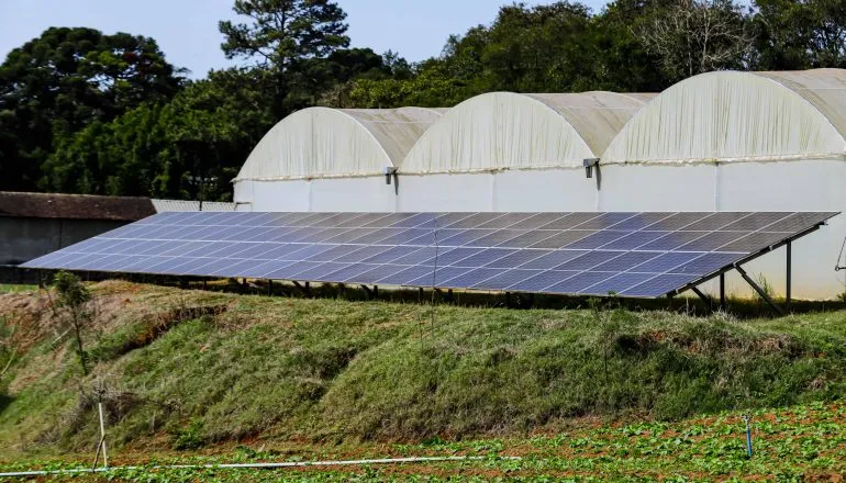 O teto de vidro do Paraná: o que vai acontecer quando as mais de 4.280 megawatt em placas solares 