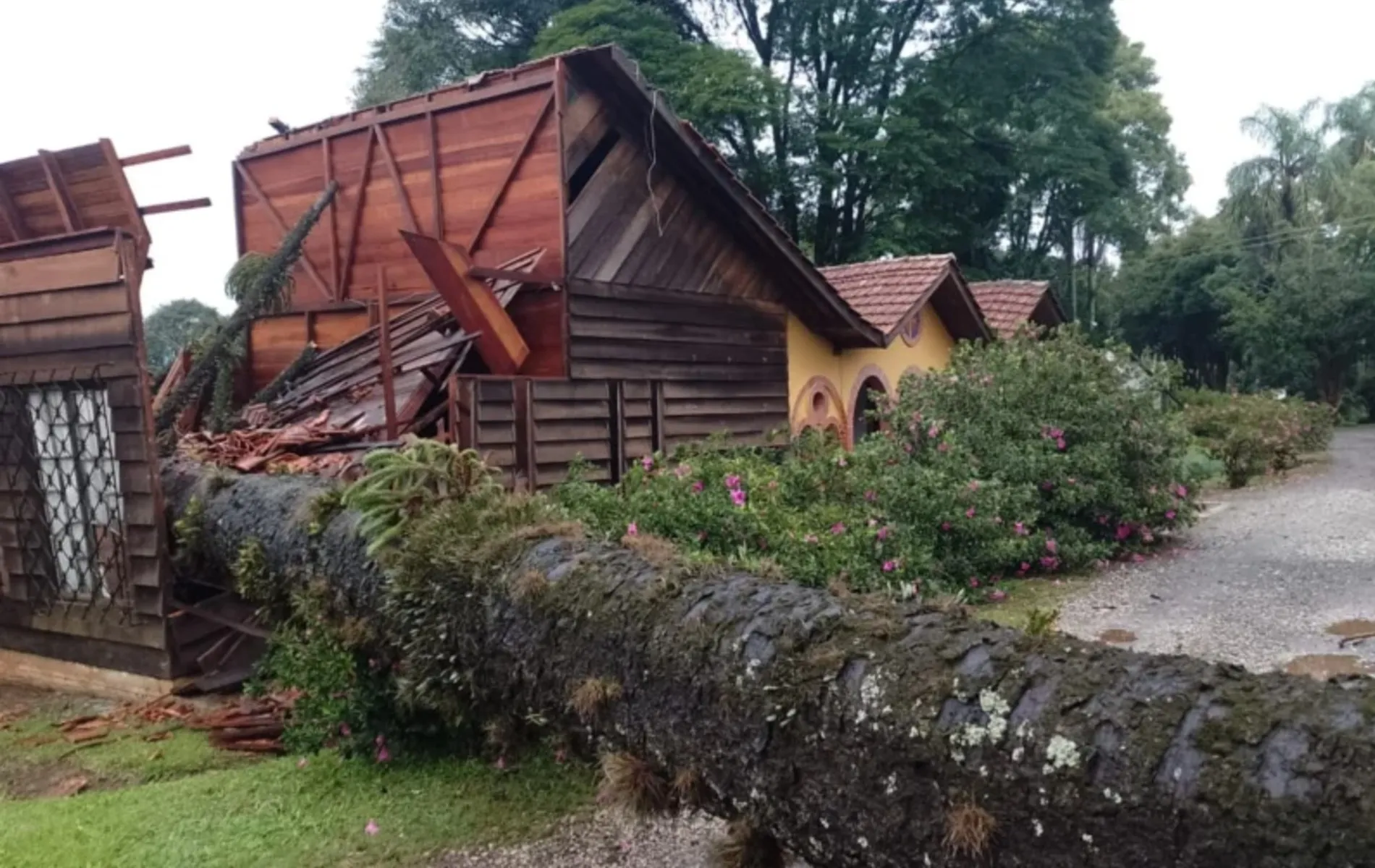Loja de mosteiro foi danificada com queda de araucária.