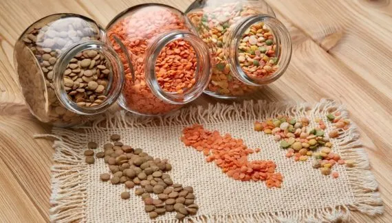Sem carne no prato: 6 alimentos vegetais para aumentar a ingestão de proteínas