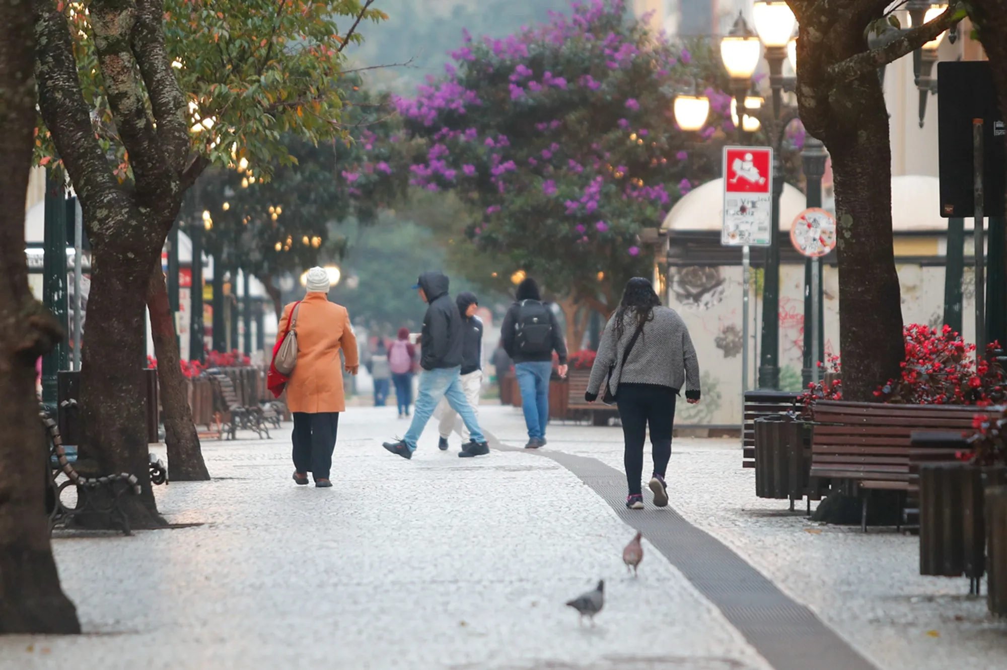 frio em curitiba, curitiba inverno, tempo curitiba