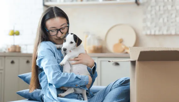 Veja como preparar a casa e a rotina ao adotar um animal de estimação