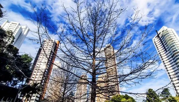 Curitiba tem quarta com céu nublado e amplitude térmica de 11 graus; veja a previsão