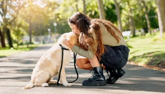 Cachorro não quer passear: veja as causas e o que fazer 