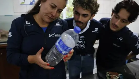 Mais de 93% dos peixes vendidos no litoral do Paraná têm microplástico