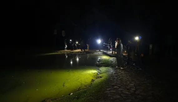 Bosque de Curitiba tem visitas guiadas noturnas gratuitas; veja como participar