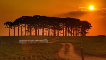 Céu laranja é poluição? Saiba o que significa a mudança de cor no entardecer