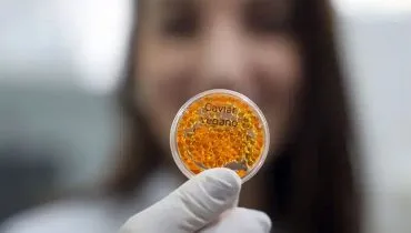 Como o Brasil criou salmão, lula e caviar veganos?