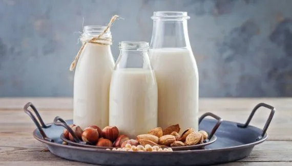 Intolerante à lactose? Conheça 4 bebidas vegetais para substituir o leite