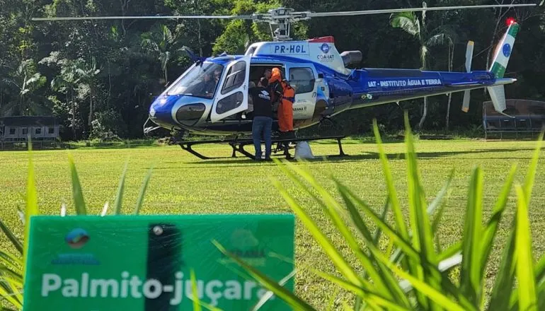 700 mil sementes de palmeira-juçara são jogadas de helicóptero no Litoral do Paraná