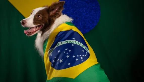 Seleção Brasileira: 13 nomes para cachorro inspirados em jogadores