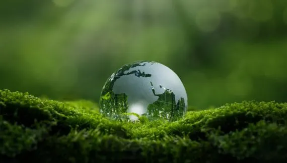 6 estratégias para aprender sobre meio ambiente e se preparar para o vestibular