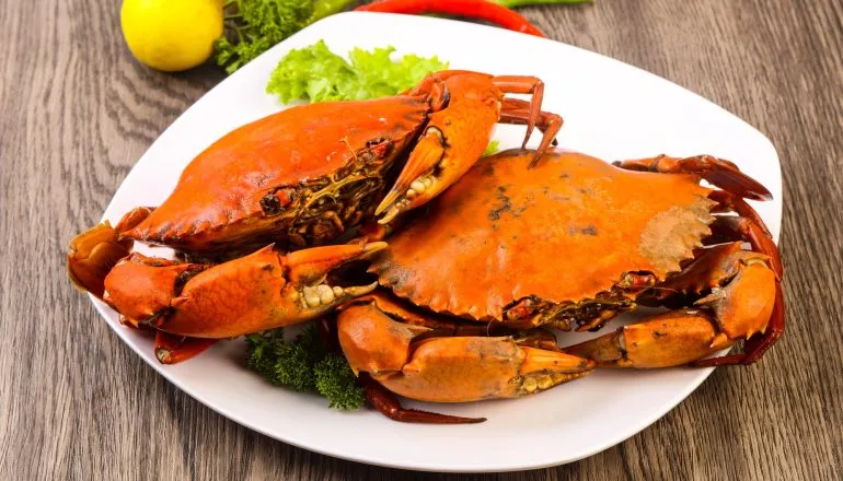 Três dias de frutos do mar: Festa do Marisco movimenta Litoral do Paraná