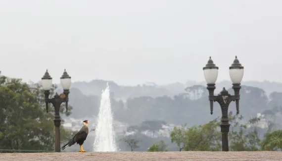 Previsão do tempo para esta sexta-feira em Curitiba: chuva ou sol?