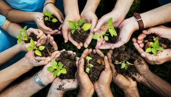 Dia Mundial do Meio Ambiente: 30 atitudes simples para reduzir o impacto ambiental