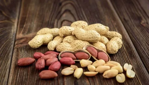 Muito além da paçoca: 5 benefícios do amendoim para a saúde